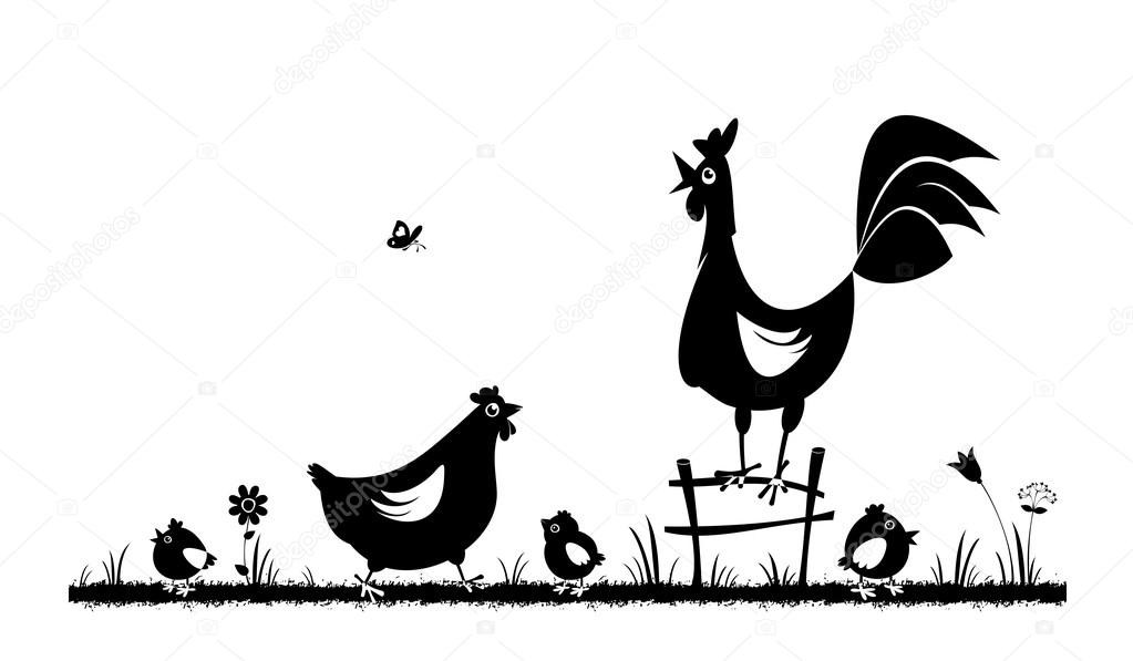 Chicken and rooster. Domestic fowl.