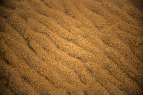 Sfondo dune di sabbia — Foto Stock