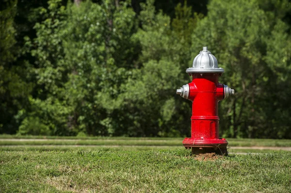 Пожежного гідранта Ліцензійні Стокові Фото