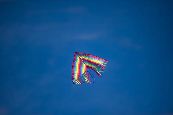 Cerf-volant planant haut — Photo