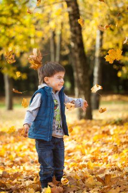 genç çocuk yaprakları sonbaharda Park'ta atma