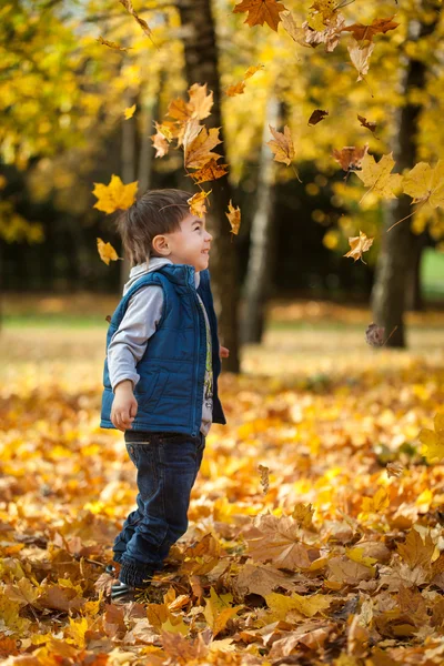 年轻的男孩扔树叶在秋天公园 — 图库照片