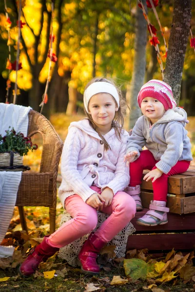 Dos hermanas en el parque de otoño —  Fotos de Stock