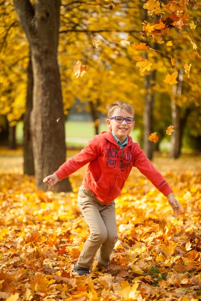 Niño lanzando hojas en el parque de otoño —  Fotos de Stock