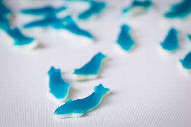 Jöle balık şekerler