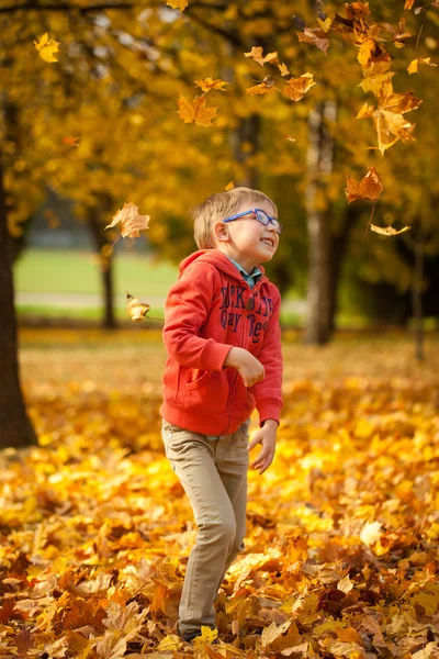 Niño lanzando hojas en el parque de otoño —  Fotos de Stock