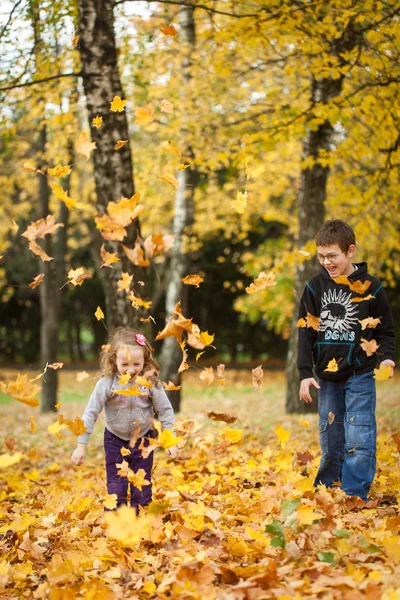 哥哥和妹妹扔树叶在秋天的公园 — 图库照片