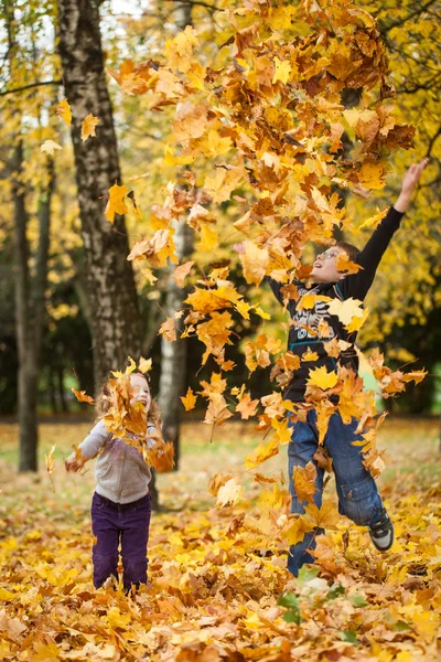 Yapraklar sonbaharda parkta atma kardeş