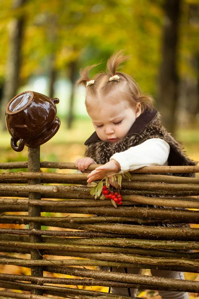 Ahşap bir çit sonbahar Parkı küçük kız — Stok fotoğraf