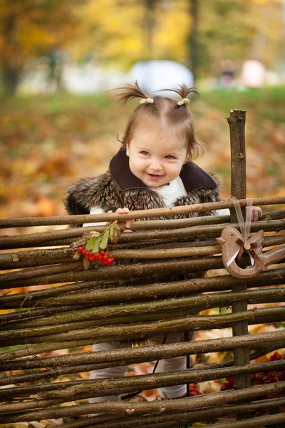 Klein meisje in de herfst park in de buurt van een houten hek — Stockfoto