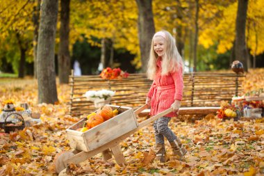 El arabası ile sonbahar parkta genç kız