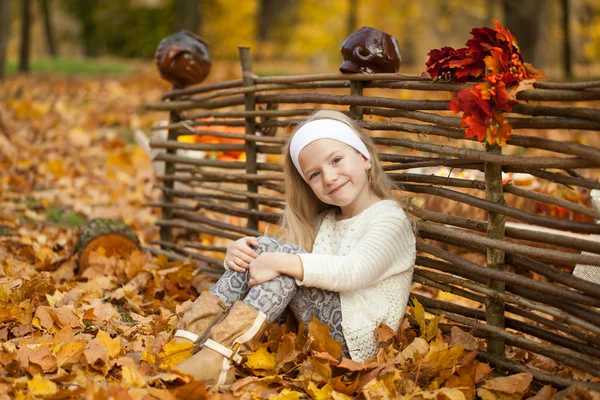 Ahşap bir çit sonbahar Parkı genç kız — Stok fotoğraf