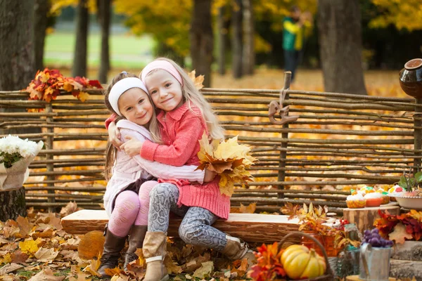 Sonbahar Park yakınındaki bir çit tahta bankta oturan iki kız — Stok fotoğraf