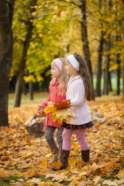 两个女孩走在秋天的公园 — 图库照片