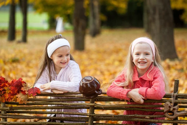 Ahşap bir çit sonbahar Parkı genç kızlar — Stok fotoğraf