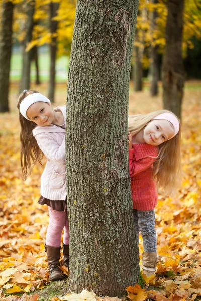 两个女孩在秋天公园玩 — 图库照片
