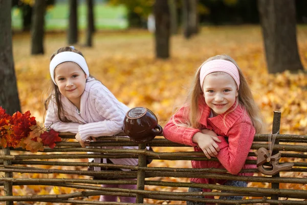 Chicas jóvenes en el parque de otoño cerca de una valla de madera — Foto de Stock