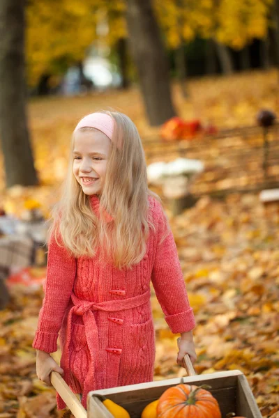 年轻的女孩，在秋天公园与独轮手推车 — 图库照片