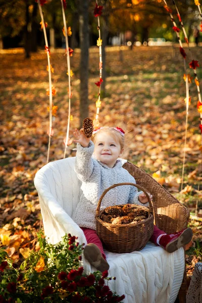 Sonbahar parkında küçük bir kız — Stok fotoğraf