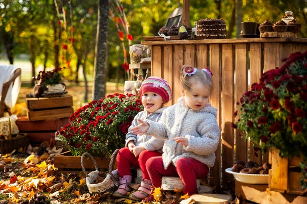 Sonbahar parkta iki küçük kız — Stok fotoğraf