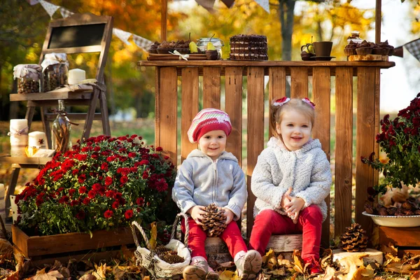 Sonbahar parkta iki küçük kız — Stok fotoğraf