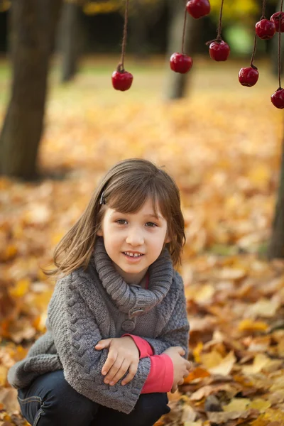 年轻的女孩，在秋天公园与苹果花环 — 图库照片