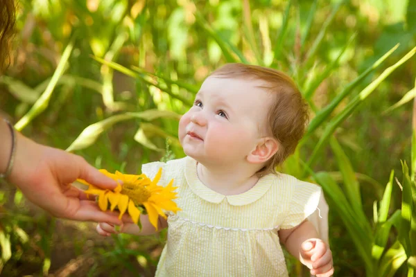 Sarı Elbiseli Tatlı Bir Kız Bebek Yaz Ayçiçeği Tarlasında Eğleniyor — Stok fotoğraf