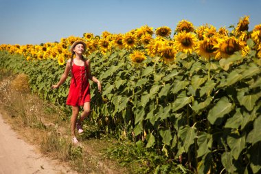 Kırmızı elbiseli, komik örgülü güzel bir kız. Ayçiçeği tarlasında eğleniyor.