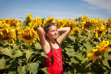 Kırmızı elbiseli, komik örgülü güzel bir kız. Ayçiçeği tarlasında eğleniyor.