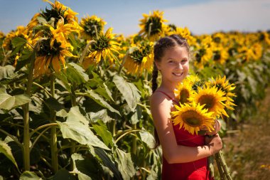 Kırmızı elbiseli, komik örgülü güzel bir kız. Ayçiçeği tarlasında eğleniyor.