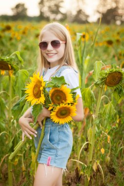 Mavi kotlu güzel genç kız ayçiçeği tarlasında eğleniyor.