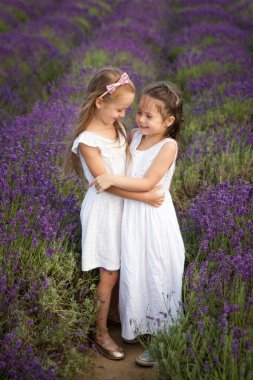 Beyaz elbiseli şirin küçük kızlar lavanta tarlasında eğleniyorlar.