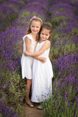 Beyaz elbiseli şirin küçük kızlar lavanta tarlasında eğleniyorlar.