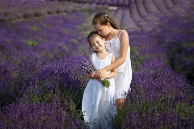 Beyaz elbiseli şirin kız kardeşler lavanta tarlasında eğleniyorlar.