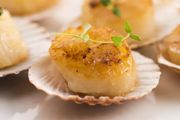 Jakobsmuscheln mit Knoblauchbutter und Kräutern — Stockfoto