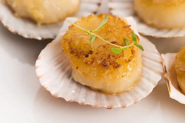 Jakobsmuscheln mit Knoblauchbutter und Kräutern — Stockfoto