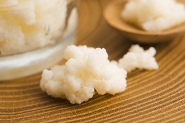 Organik probiyotik süt kefir taneleri