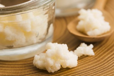 Organik probiyotik süt kefir taneleri