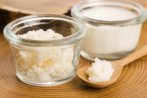 Organic probiotic milk kefir grains — Stock Photo, Image