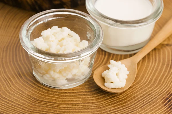 Organic probiotic milk kefir grains — Stock Photo, Image