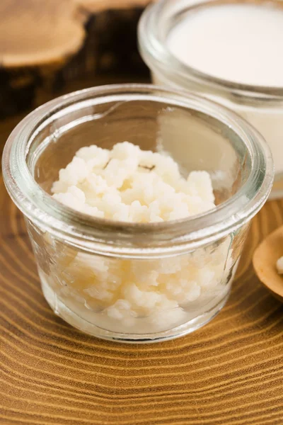 Organic probiotic milk kefir grains — Stock Photo, Image