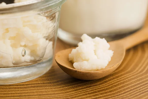 Organic probiotic milk kefir grains — Stock Photo, Image