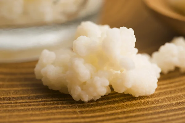 Organic probiotic milk kefir grains — Stock Photo, Image