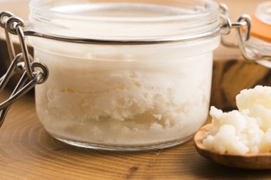 Organik probiyotik süt kefir taneleri