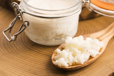 Organik probiyotik süt kefir taneleri