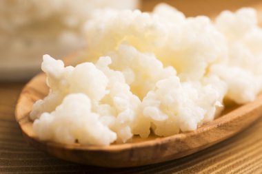 Organik probiyotik süt kefir taneleri