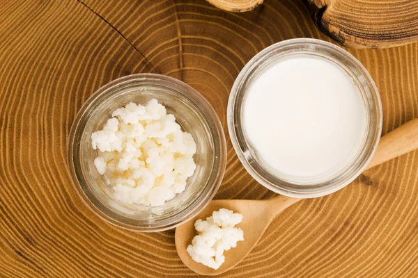 Grãos de kefir de leite probiótico orgânico — Fotografia de Stock