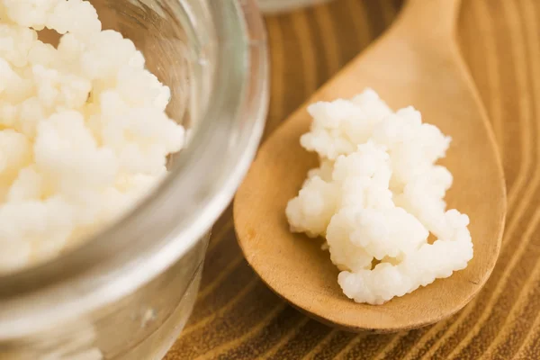 Organic probiotic milk kefir grains — Stock Photo, Image