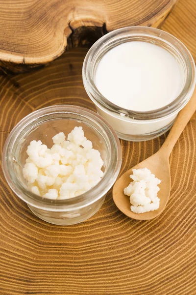 Biologische probiotische melk kefir granen — Stockfoto