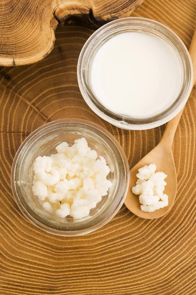 Cereali di kefir di latte probiotico biologico — Foto Stock